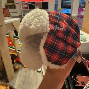 Sled head hat